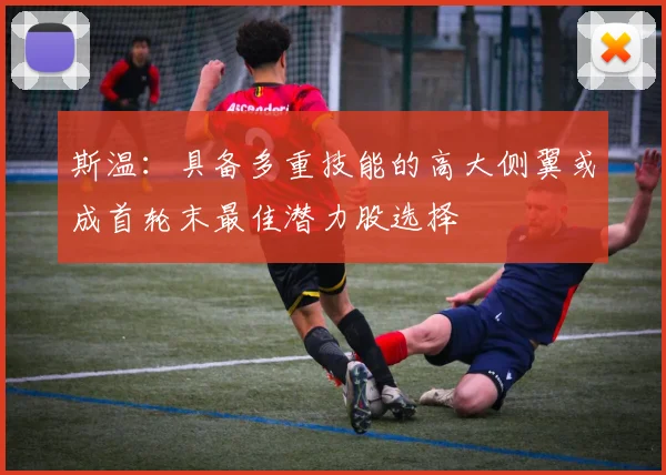 斯温：具备多重技能的高大侧翼或成首轮末最佳潜力股选择