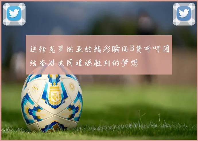 逆转克罗地亚的精彩瞬间B费呼吁团结奋进共同追逐胜利的梦想